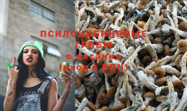 твердый Балабаново